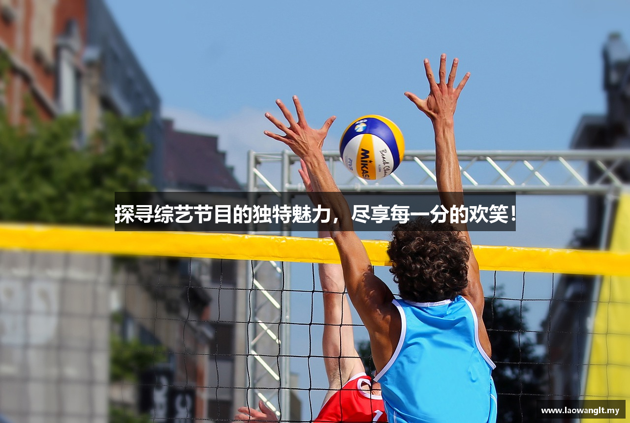 探寻综艺节目的独特魅力，尽享每一分的欢笑！